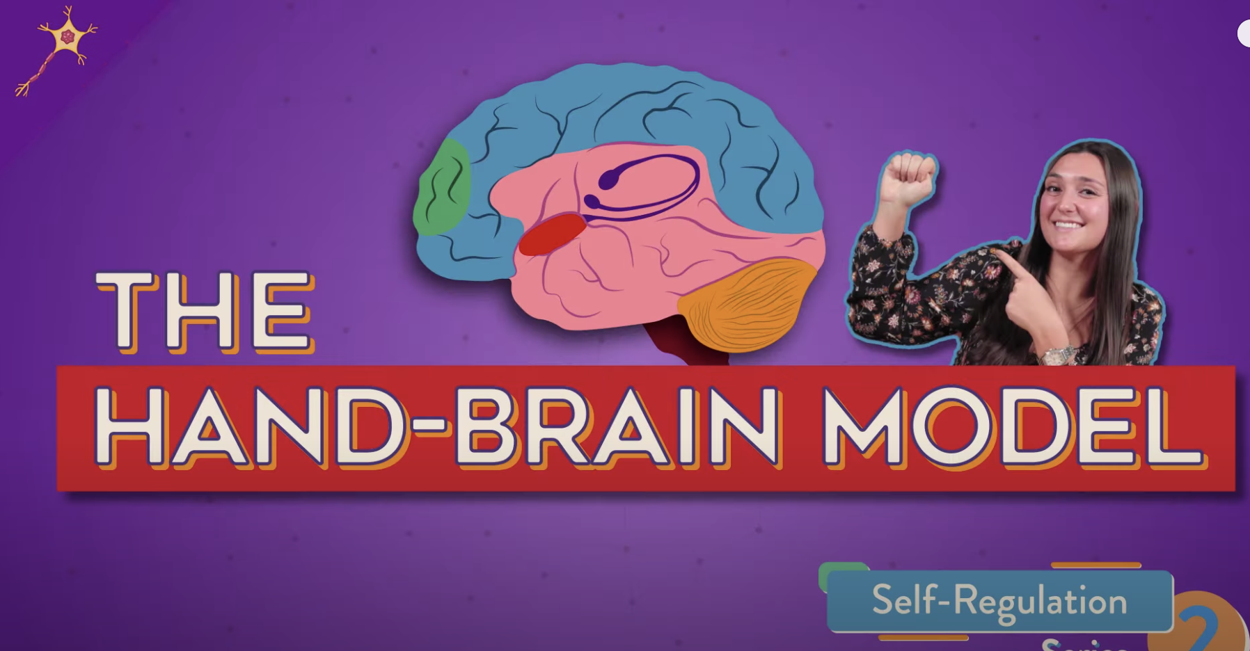 Hand Model of the Brain (kid-friendly)