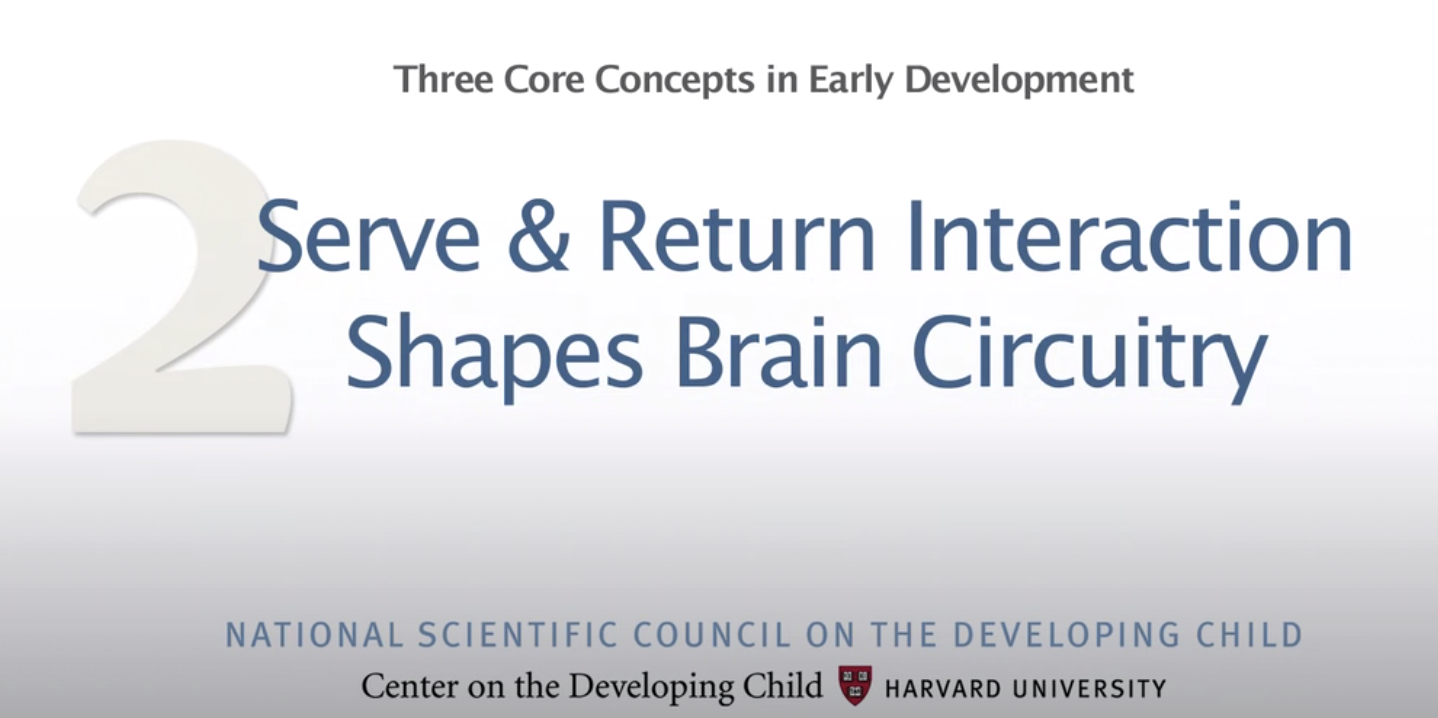 Serve & Return Interaction Shapes Brain Circuitry (Center on the Developing Child, Harvard University)